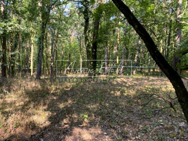 Działka usługowa sprzedam