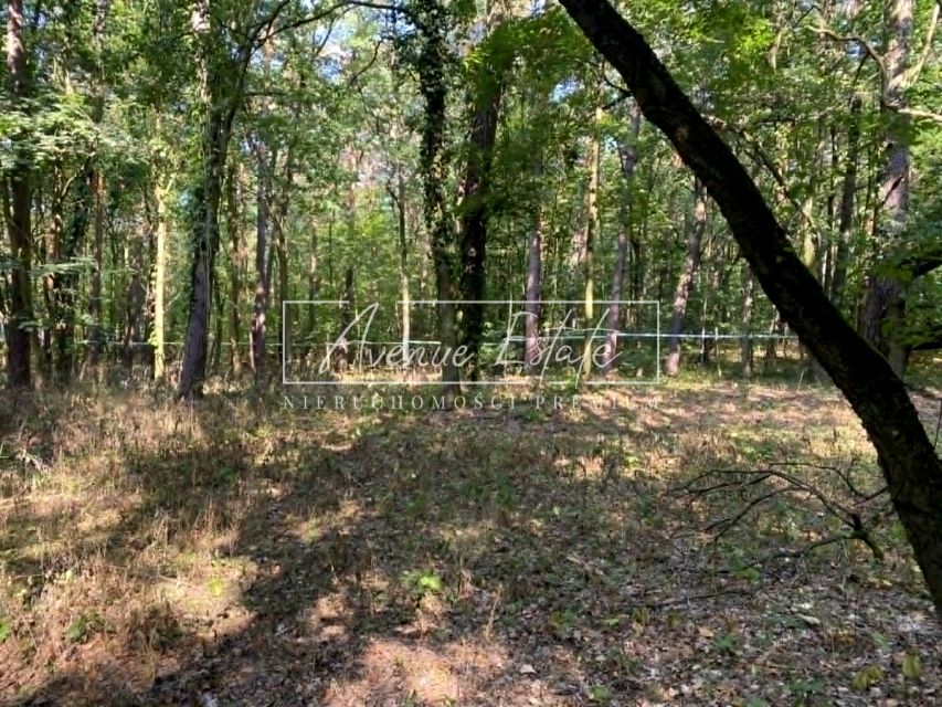 Działka usługowa sprzedam