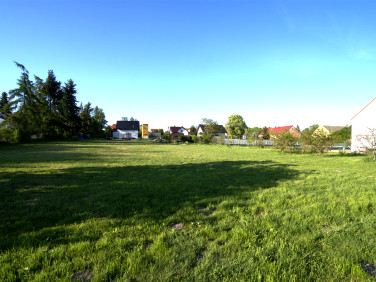 Działka budowlano-rolna Piotrkowiczki