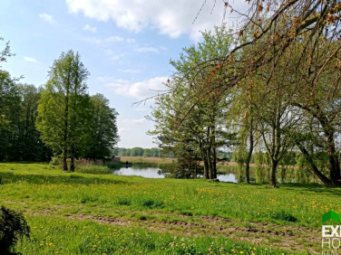 Działka DRZAZGOWA WOLA