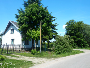 Dom Roguszyn sprzedaż