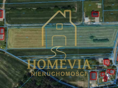 Działka budowlana Ornontowice