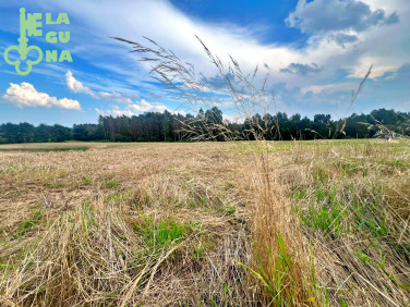 Działka Jeleńska Huta