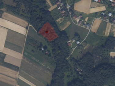 Działka leśna Połomia