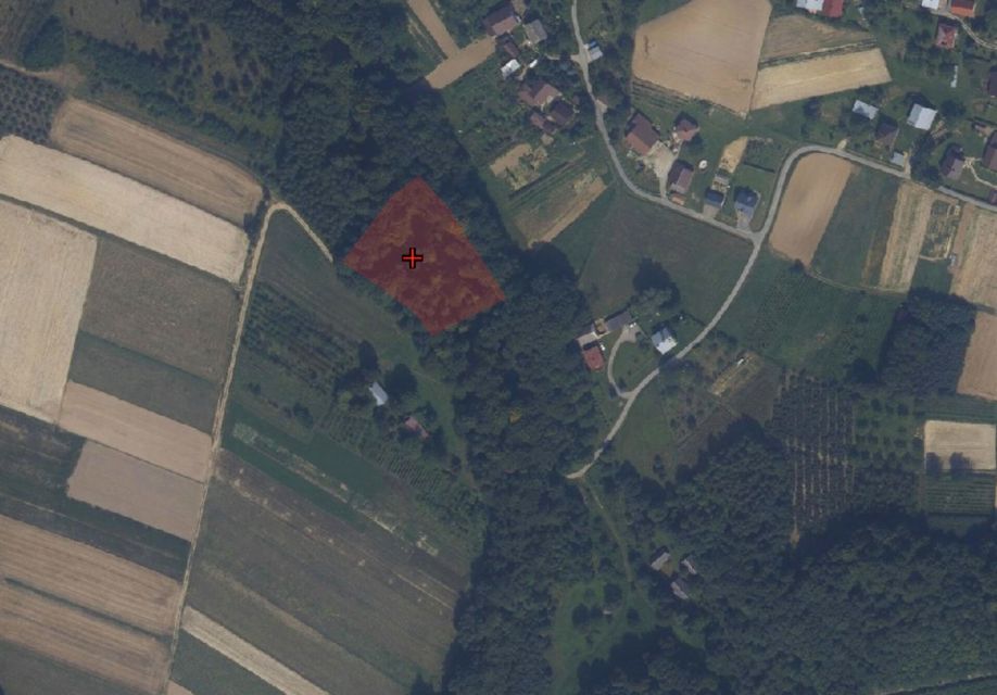 Działka leśna Połomia