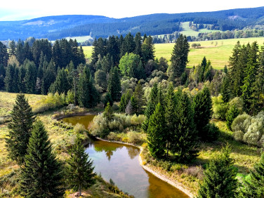 Działka budowlano-rolna bystrzyca kłodzka, piaskowice
