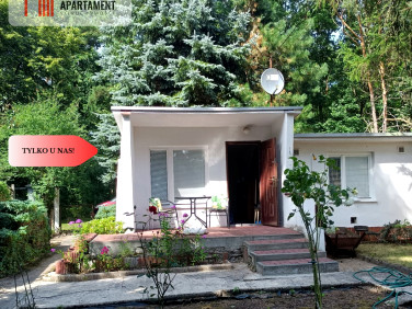 Działka rekreacyjna Borówno