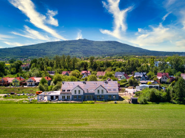 Dom wolnostojący sprzedaż
