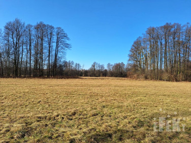 Działka budowlano-rolna Puszcza Mariańska