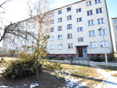 Mieszkanie Zduńska Wola