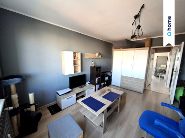 Mieszkanie Gorzów Wielkopolski