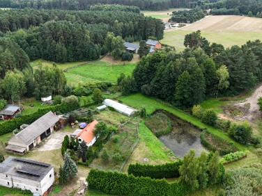 Dom kobyla góra, lipnik