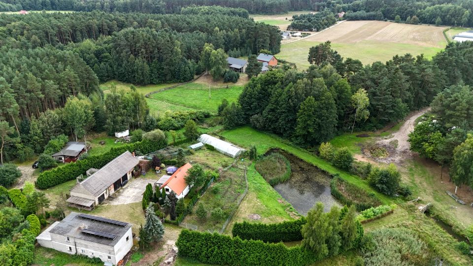 Dom kobyla góra, lipnik
