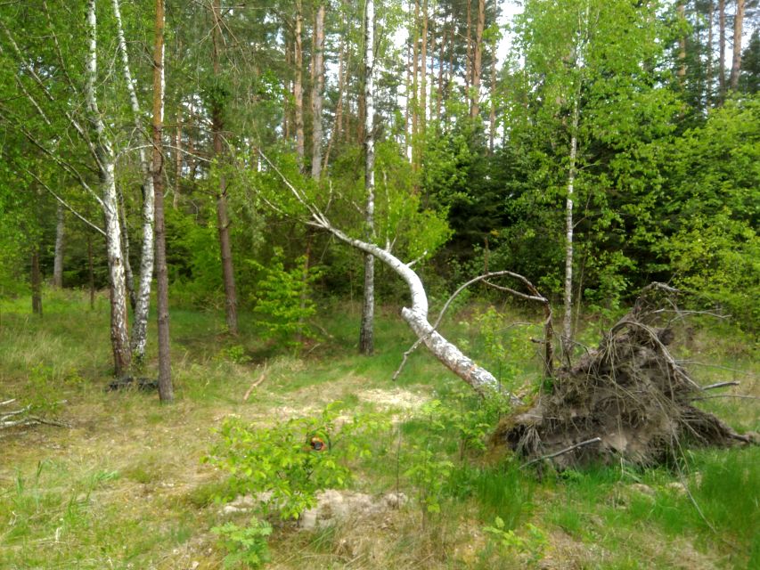 Działka budowlana Zwierzyniec