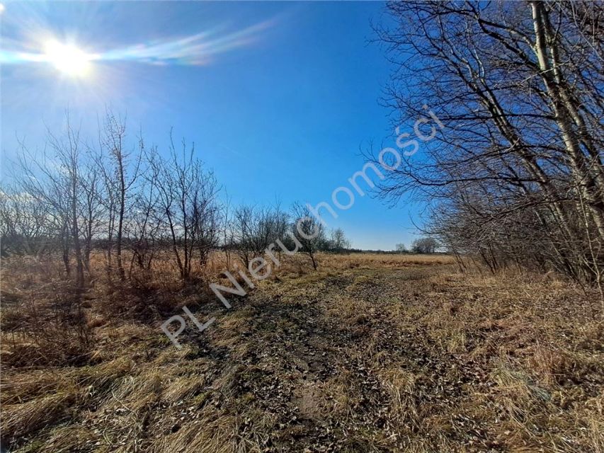 Działka budowlana Chlebnia