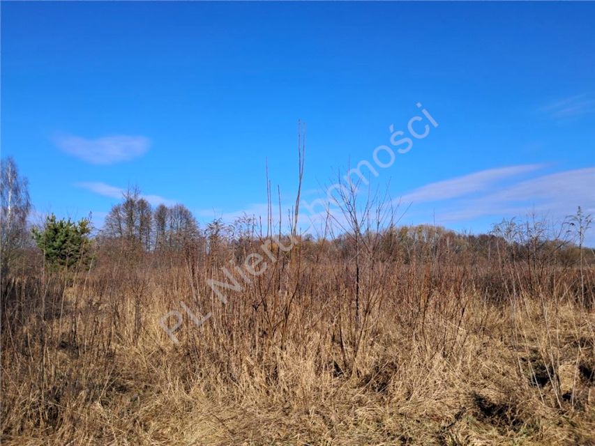 Działka rolna Stare Budy