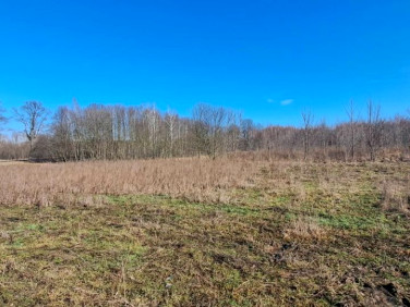 Działka budowlana Kolonia Brużyca