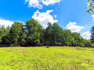 Działka budowlana Będzin