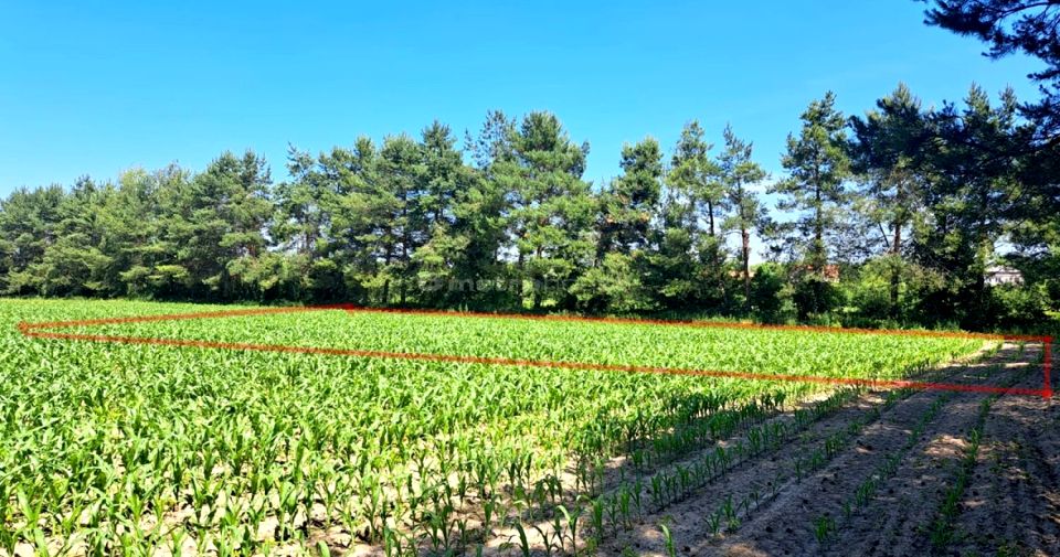Działka budowlana Mściów