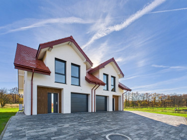 Dom malczyce, wilczków