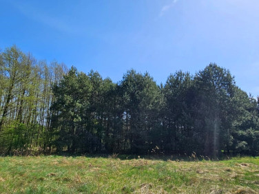 Działka budowlano-rolna Drogoszowice