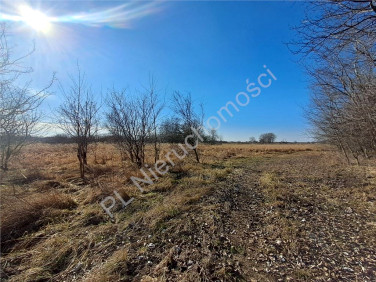 Działka budowlana Chlebnia sprzedam