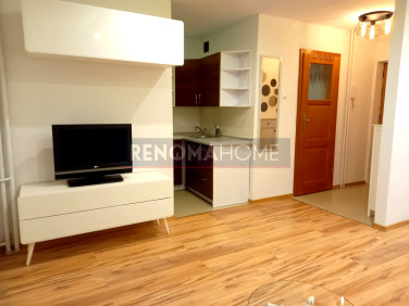 Mieszkanie blok mieszkalny wynajem