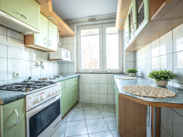 Mieszkanie Pabianice