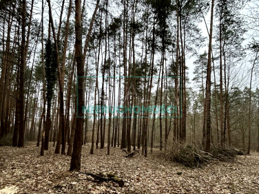 Działka budowlana Adamów-Parcel