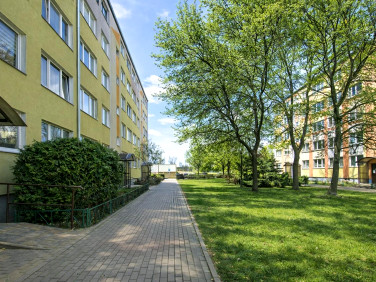 Mieszkanie blok mieszkalny Toruń
