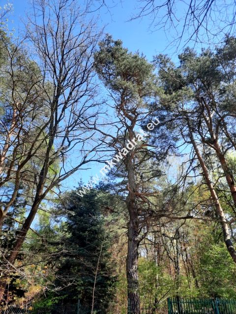 Działka budowlana Granica