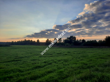 Działka rolna Pieńki Zarębskie sprzedam