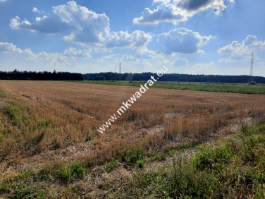 Działka inwestycyjna Sokołów