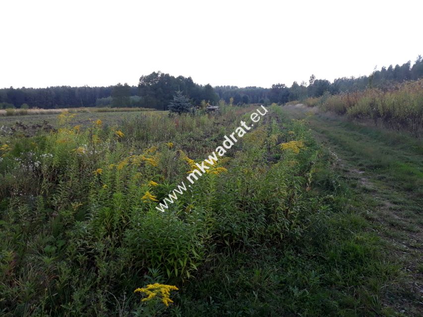 Działka budowlana Pęcice