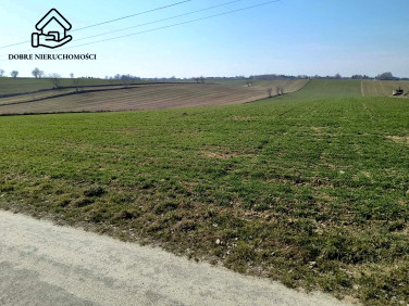 Działka Jakubowice Konińskie-Kolonia