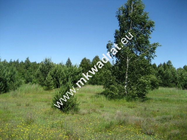 Działka rolna Grzegorzewice