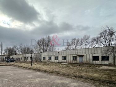 Lokal Pruszcz Gdański