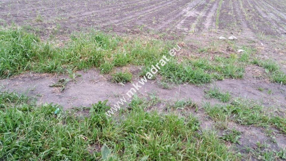 Działka budowlana Chrzanów Mały