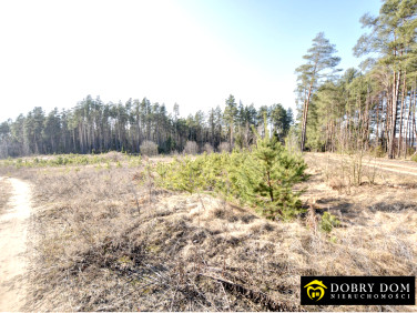 Działka budowlana Tarnopol