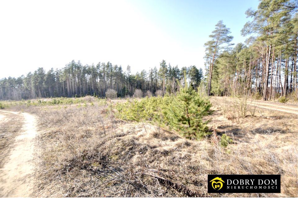 Działka budowlana Tarnopol