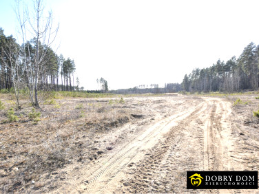 Działka rolna Siemianówka sprzedam