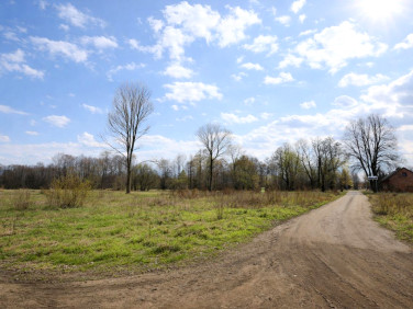 Działka inna Malanów