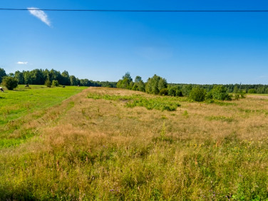 Działka rolna Nalewajków sprzedam