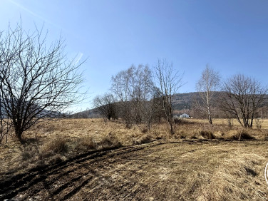 Działka budowlana Buczkowice