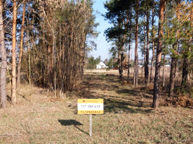 Działka Sokołów Górny