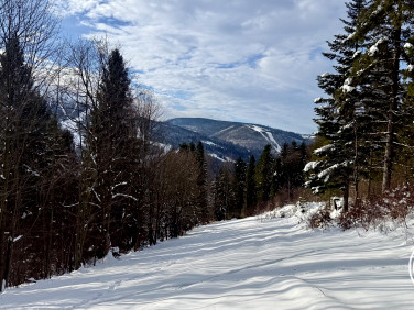 Działka rolno-leśna Szczyrk