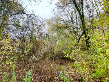 Działka budowlana Milanówek