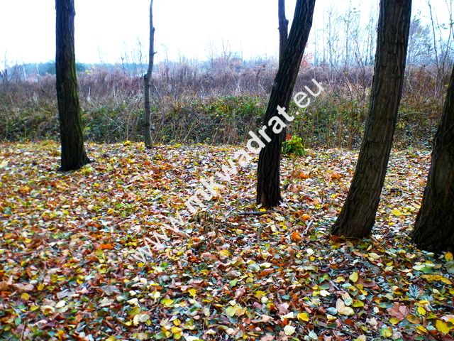 Działka inwestycyjna Otrębusy