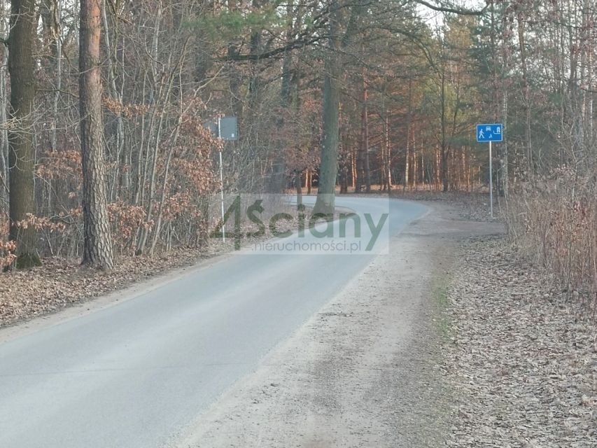 Zdjęcie 2