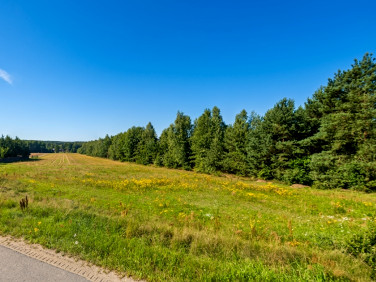 Pusta działka Nalewajków